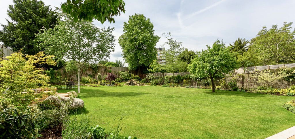 Professional photography in Barnes, London